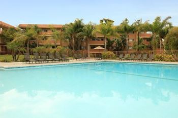 A swimming pool in front of a building with palm trees.